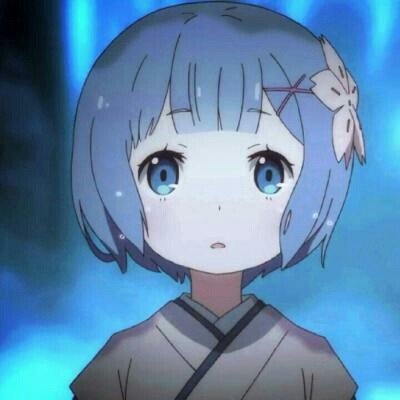 杭州“挖鼻孔”长颈鹿走红